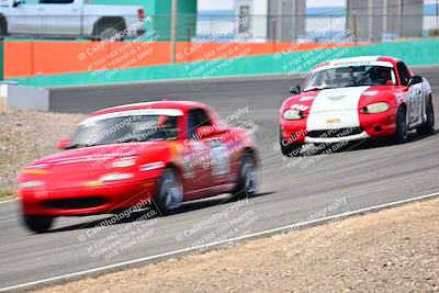 media/May-04-2025-Lucky Dog Racing (Sun) [[21629467aa]]/Turn 4 (10-1045am)/Front/